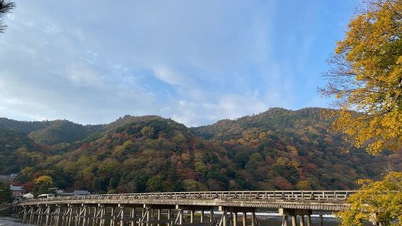 Kyoto: Arashiyama Guided Tour, Bamboo, Monkey, Zen Temple