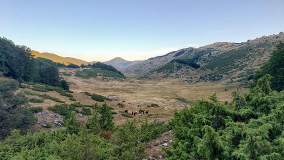 Fuga dalla città: esperienza da cowboy con pasti e vini