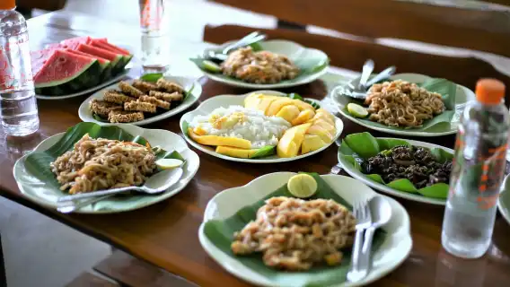 清邁:小團體道德大象保護區之旅