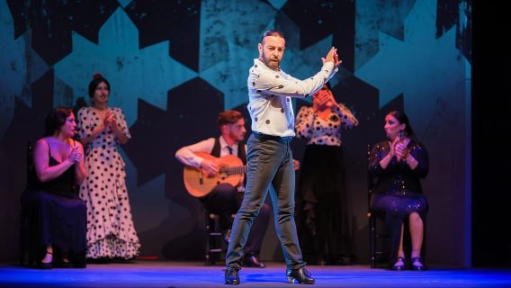 Гранада: фламенко-шоу «Sensations» в театре фламенко Гранады