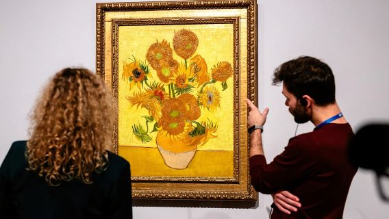 Amsterdam: Van Gogh Museum Guided Tour