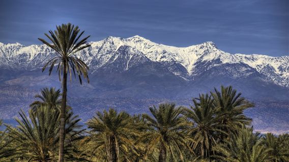 Agadir departure | Taroudant ancient city + Tiout oasis 1-day tour with lunch and transfers