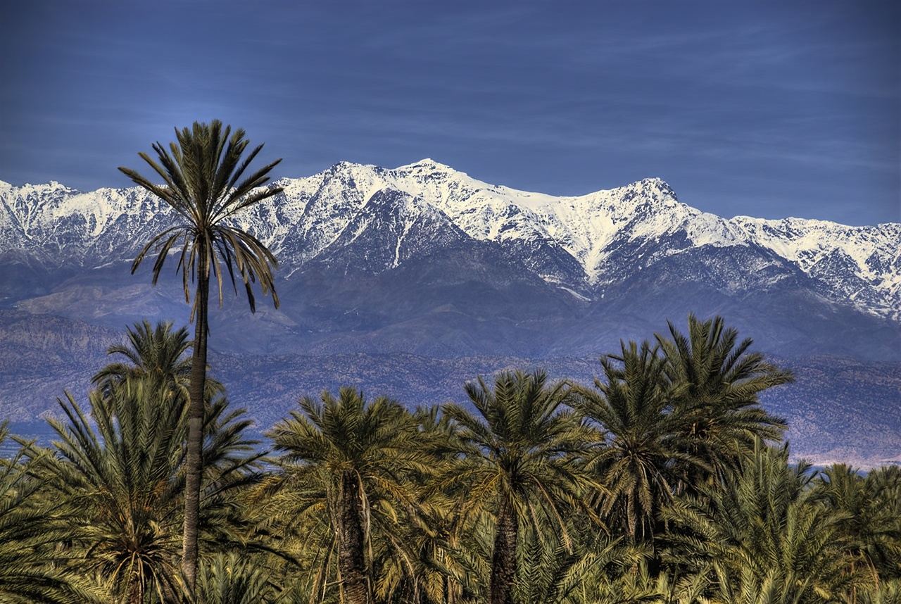 Agadir departure | Taroudant ancient city + Tiout oasis 1-day tour with lunch and transfers