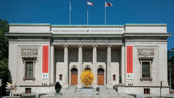 Altstadt Montreal + Chinatown + Musée des beaux-arts de Montréal + Jean-Talon Markt Tagesausflug