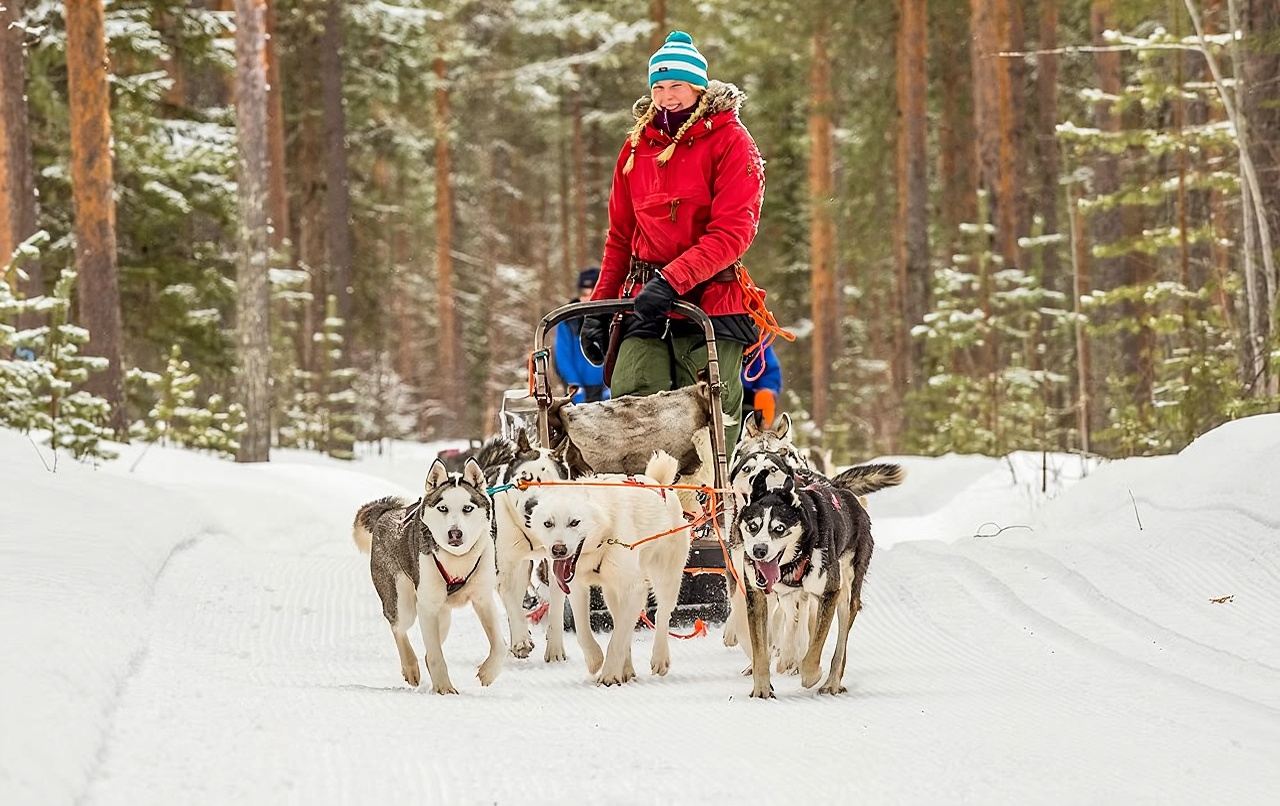 Snowmobile + Husky Sled + Reindeer Sled Experience in Rovaniemi, Finland