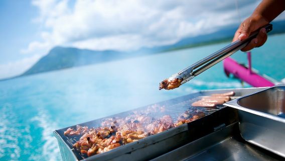 Luxury Catamaran Dolphin Watching in Mauritius