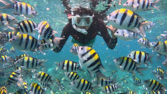Tiket kapal selam skuba Pulau Fenjie Lingshui + snorkeling/selam skuba di terumbu karang + gelongsor laut + rakaman bawah air
