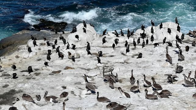 美國洛杉磯-聖地亞哥-勝利之吻-行程可調【中文包車自由行】