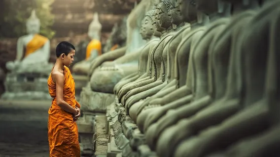 Featured tour with 191 reviews: Bangkok: Private Ayutthaya and Bang Pa-In Summer Palace Tour