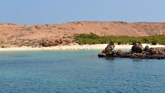 Snorkeling trips to Daymaniat Islands Sharing Trip