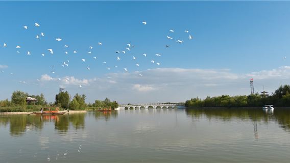 Depart from Hohhot Shenquan Ecological Tourism Scenic Area Yellow River Shenquan Desert Private Guided Day Tour