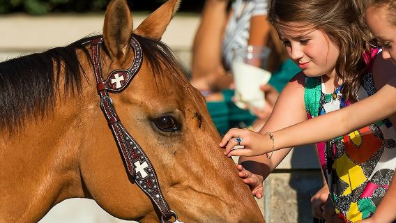 Bourbon & Derby: Makers Mark OR Buffalo trace + Churchill Down