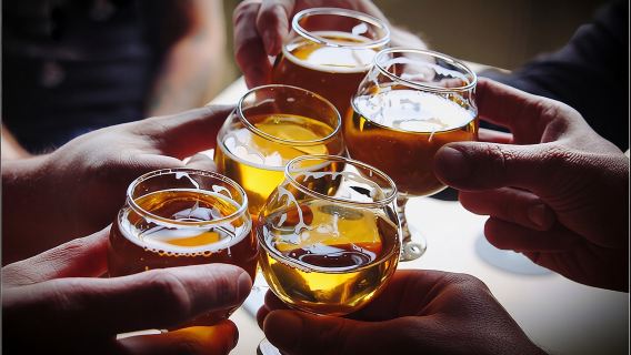 소규모 그룹 투어 - 네이피어 프리미엄 와이너리, 맥주 및 사이다 + 5.5시간~6시간.