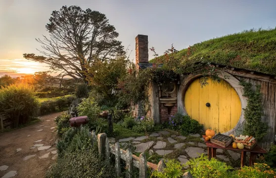 奧克蘭出發的霍比屯和懷托摩螢火蟲洞導覽（含午餐）