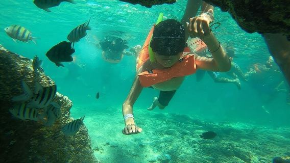 Snorkeling in Isla Mujeres and Underwater Museum