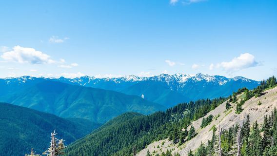 Olympic National Park full-day tour from Seattle