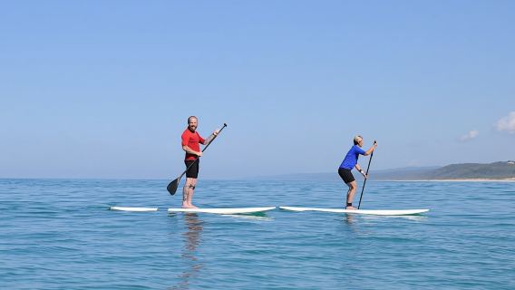 Stand Up paddle wildlife tour and beach 4x4 Noosa day trip