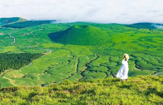 贈阿蘇接駁車|日本櫻花熊本阿蘇山+草千里+黑川溫泉一日遊