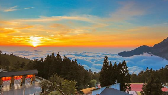 ทัวร์วันเดียว/ทัวร์หลายวัน ไต้หวันเจียอี้ + พื้นที่ชมทัศนียภาพแห่งชาติอาลีซาน บริการภาษาจีนและภาษาอังกฤษ | แผนการเดินทางสามารถปรับแต่งได้