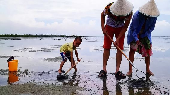 廣西北海潿洲島紅樹林趕海體驗（趕海摸螺/捉螃蟹/挖沙蟲）【趕海體驗】