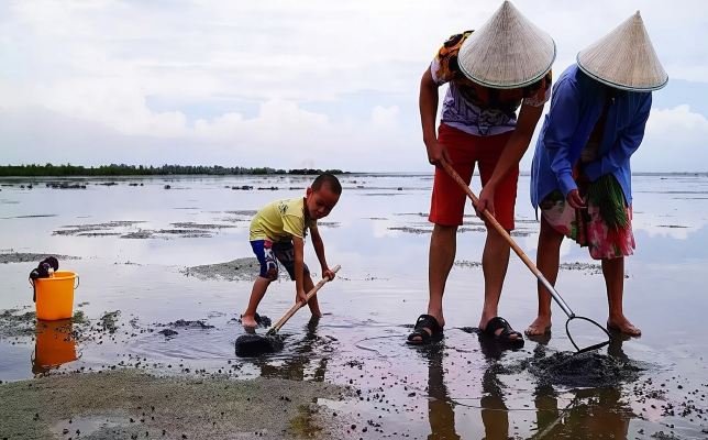 廣西北海潿洲島紅樹林趕海體驗（趕海摸螺/捉螃蟹/挖沙蟲）【趕海體驗】