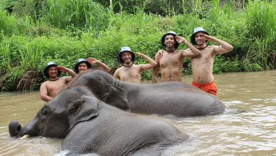 Featured tour with 15 reviews: Mae Wang Kerchor ECO Elephant Park Half Day Tour or one-day tour in Chiang Mai