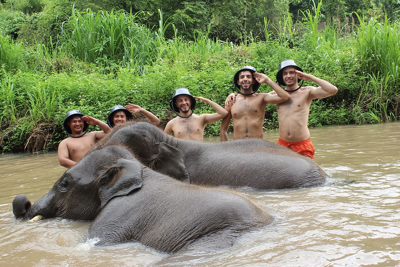 Mae Wang Kerchor ECO Elephant Park Half Day Tour or one-day tour in Chiang Mai