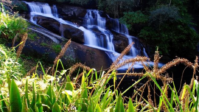 Jeep Tour to waterfalls and stills BY PARATY TOURS 