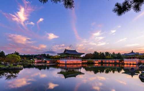 부산 왕복-경주 불국사+경주 양동마을+대릉원+동궁과 월지 당일 치기 여행