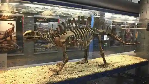 北京國家自然博物館一日遊