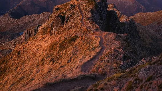 Svolvær: Excursión guiada con aperitivos