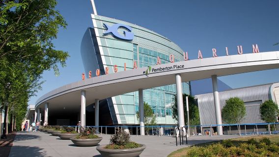 Atlanta CityPASS: Ahorre hasta un 49 % en 5 atracciones principales