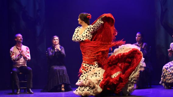 Malaga: Teatro Flamenco Malaga Live-Flamenco-Show