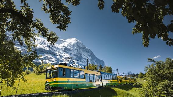Von Zürich: Tagesausflug zum Eiger zur Kleinen Scheidegg