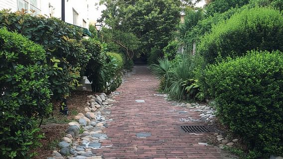 Charleston: Pirate Escape Scavenger Hunt