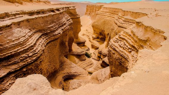 From Ica || Los Perdidos Canyon Excursion Full Day ||