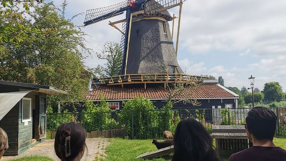 アムステルダム:田園地帯の自転車とカヤックのガイド付きツアー