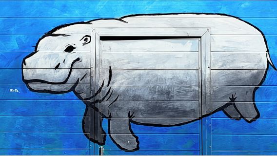 UTRECHT Street Art