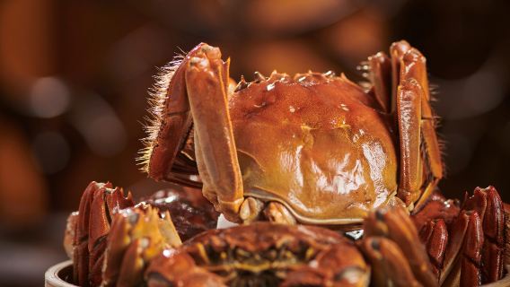 JW Marriott Hotel Shenzhen (pranzo a buffet/cena a buffet)