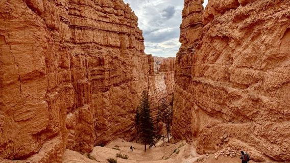 美國洛杉磯藝術博物館+小東京+迴聲公園+威尼斯海灘一日遊