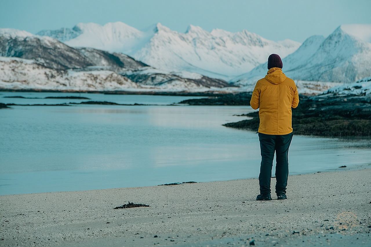 Excursión por carretera a los fiordos árticos con picnic panorámico desde Tromsø