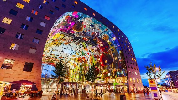 Netherlands Markthal + Old Harbour + Erasmusbrug + Rotterdam Zoo day tour