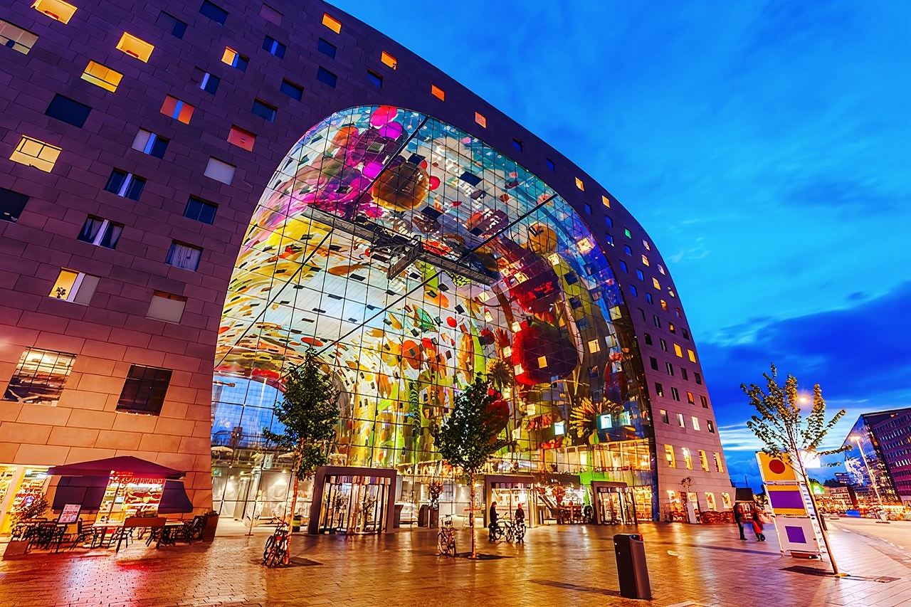 Netherlands Markthal + Old Harbour + Erasmusbrug + Rotterdam Zoo day tour