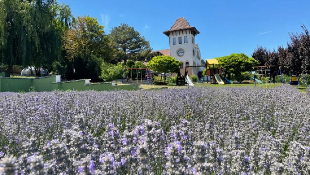 Explore Chateau Purcari Winery with Marta and Maria Monastery Visit - Private Full-Day Tour