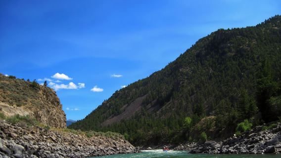 Gardiner: Rafting en aguas bravas de medio día en el Río Yellowstone