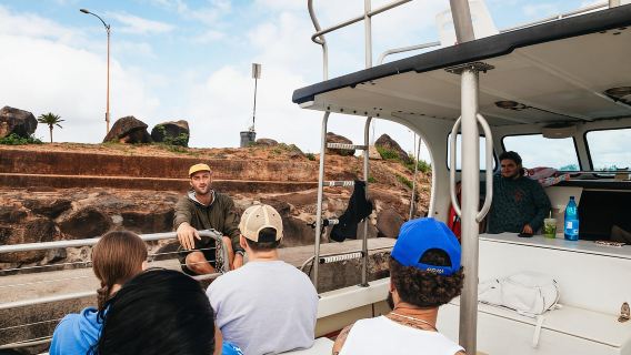 Oahu: North Shore Cageless Shark Snorkeling Tour
