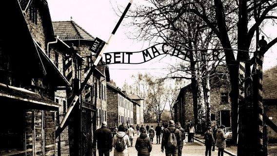 Auschwitz-Birkenau Small Group Tour from Krakow by Minivan