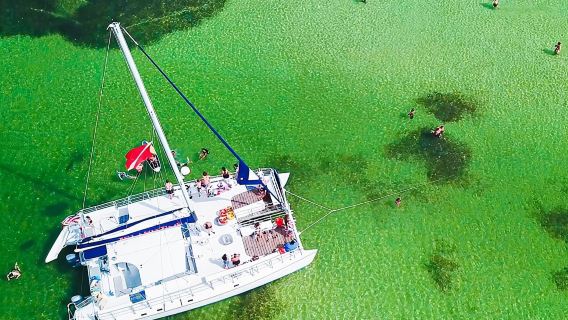 Shell Island Snorkel and Dolphin Catamaran Cruise with Island Time