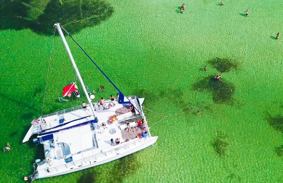 與 Island Time 一起體驗貝殼島浮潛和海豚觀賞雙體船巡遊
