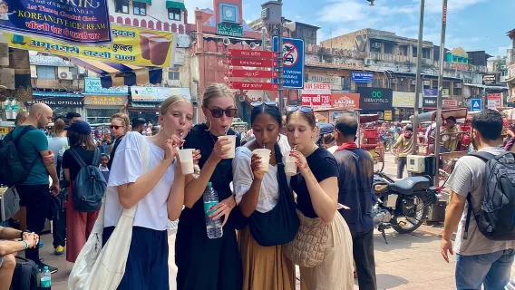 Old Delhi Food-Temples-Spice Market-Cultural All in One Tour